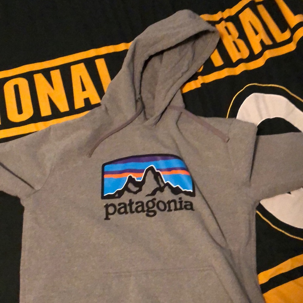 NWOT Patagonia sweatshirt